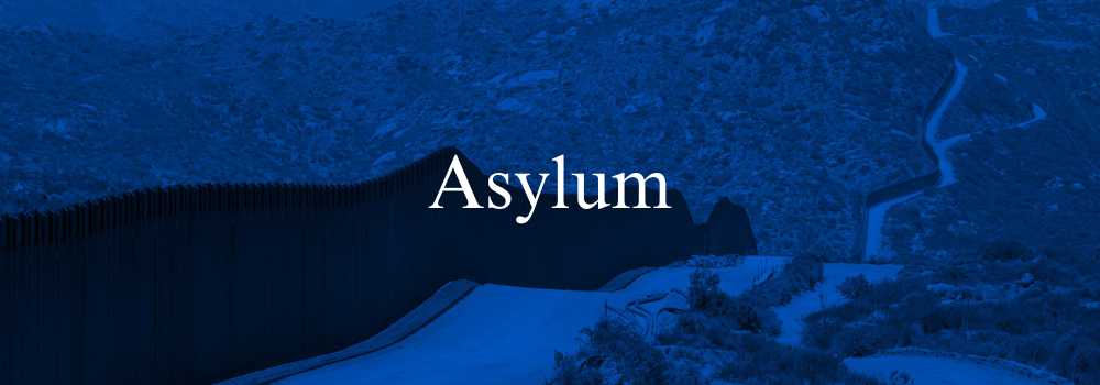 Title Header Image for Asylum
