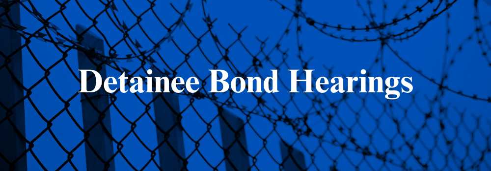 Title Header Image for Detainee Bond Hearings