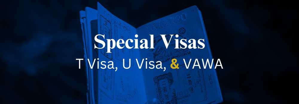 Title Header Image for Special Visas